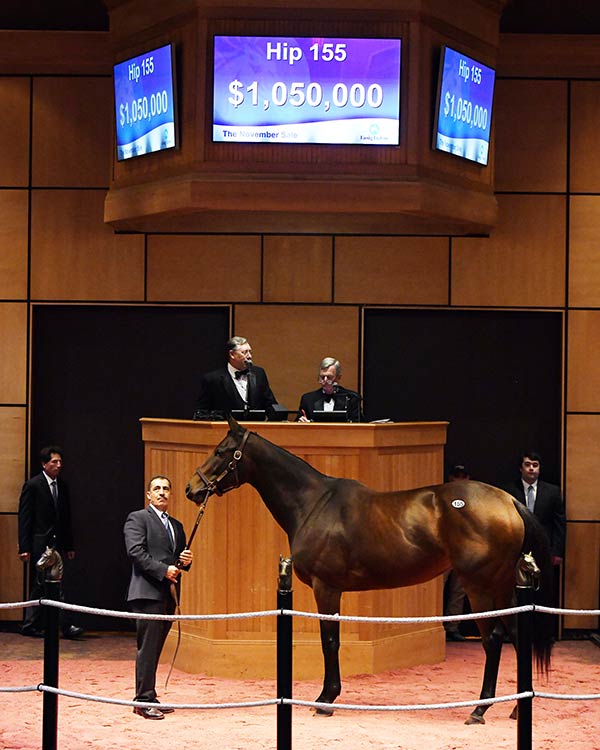 FasigTipton November Sale