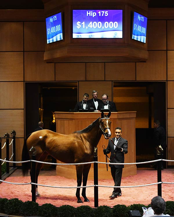 FasigTipton November Sale