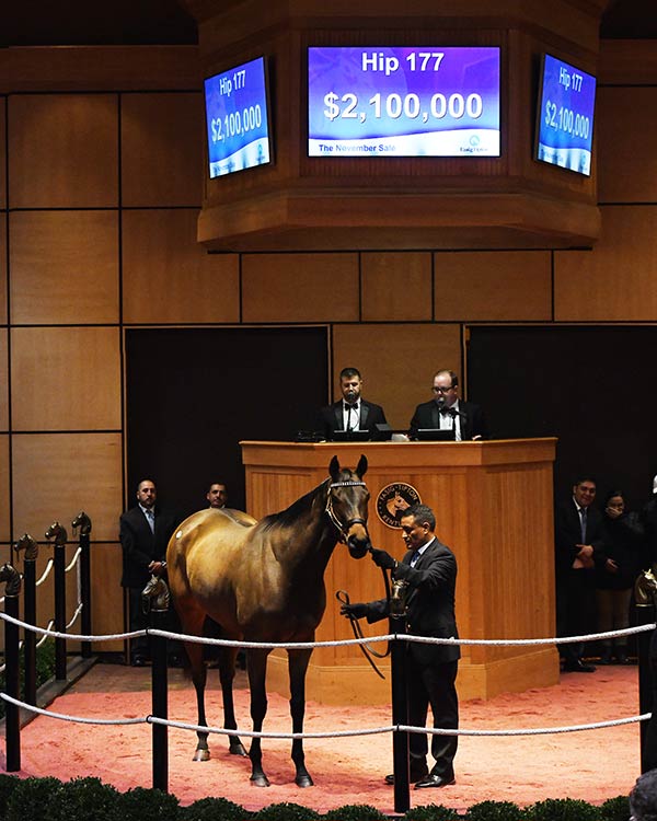 FasigTipton November Sale