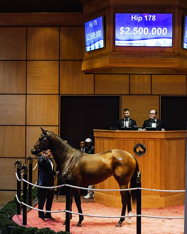 FasigTipton November Sale