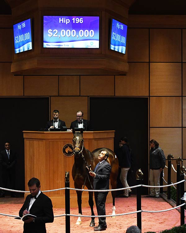 FasigTipton November Sale