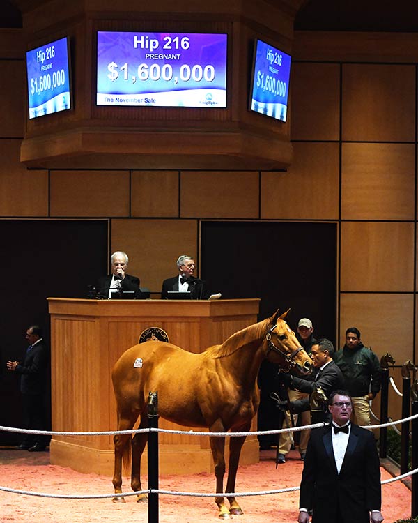 FasigTipton November Sale