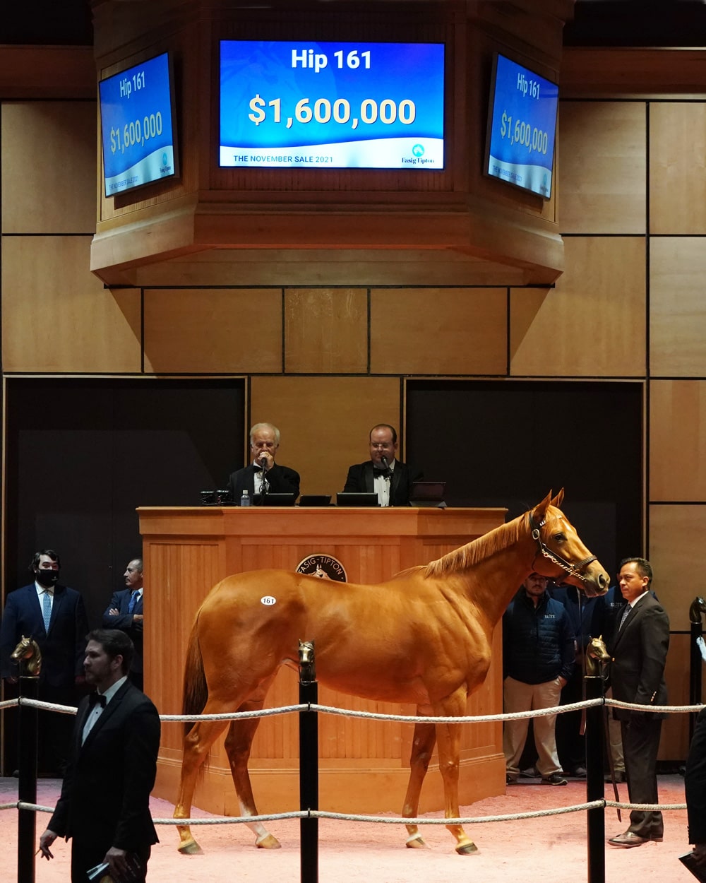 FasigTipton November Sale