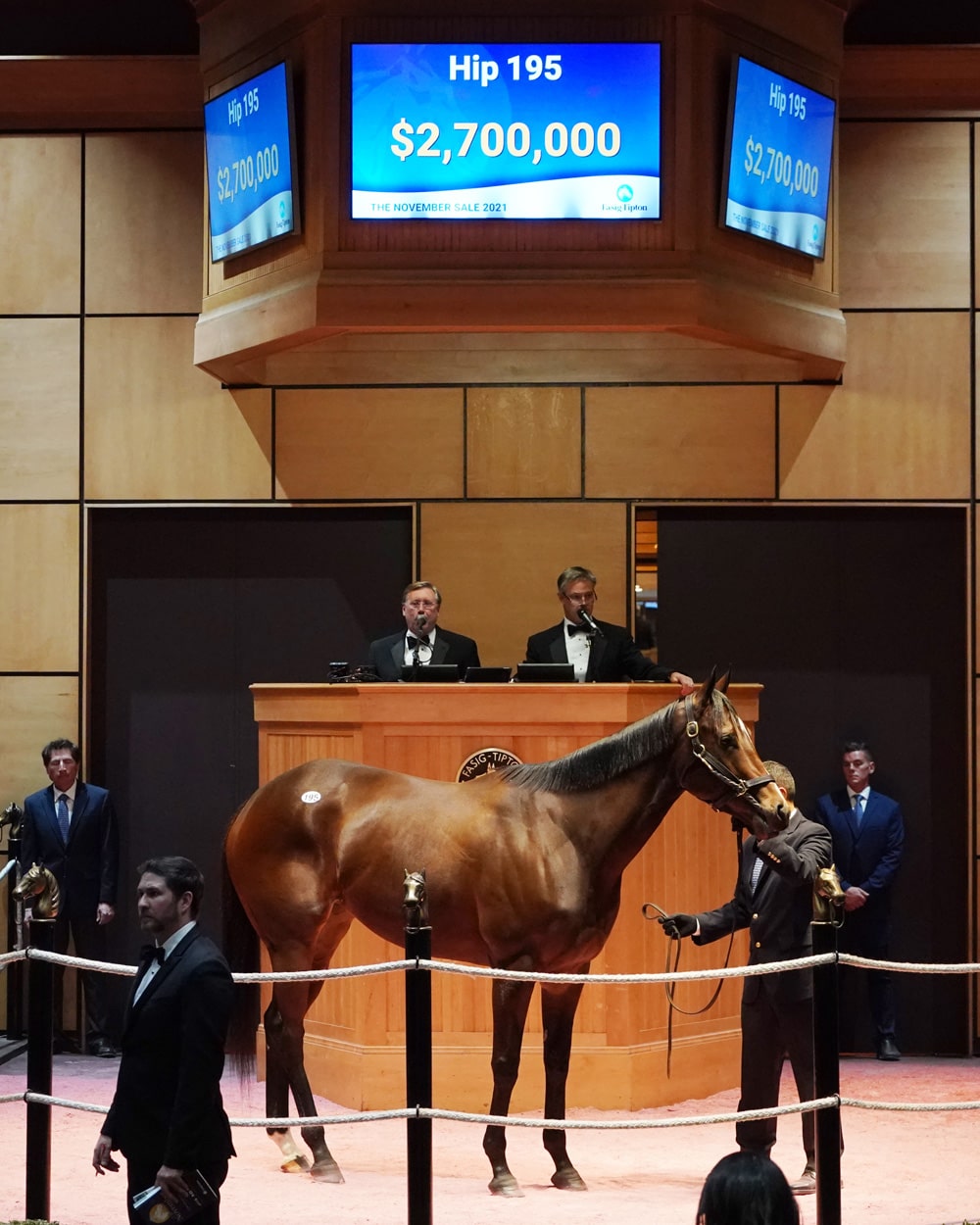 FasigTipton November Sale