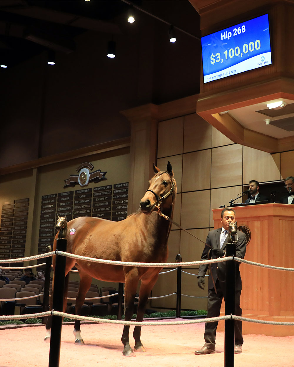 FasigTipton November Sale