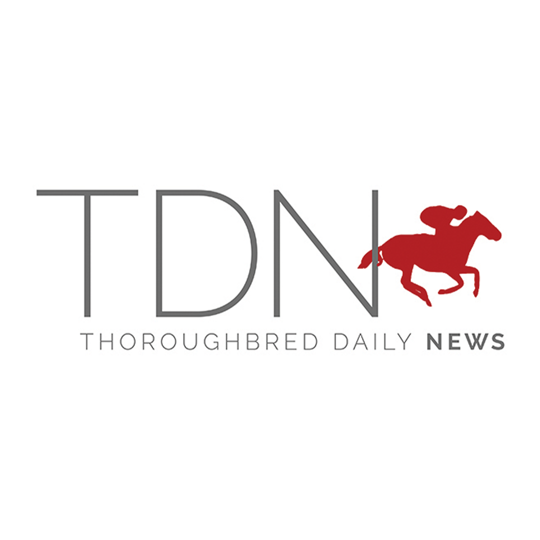 TDN Logo