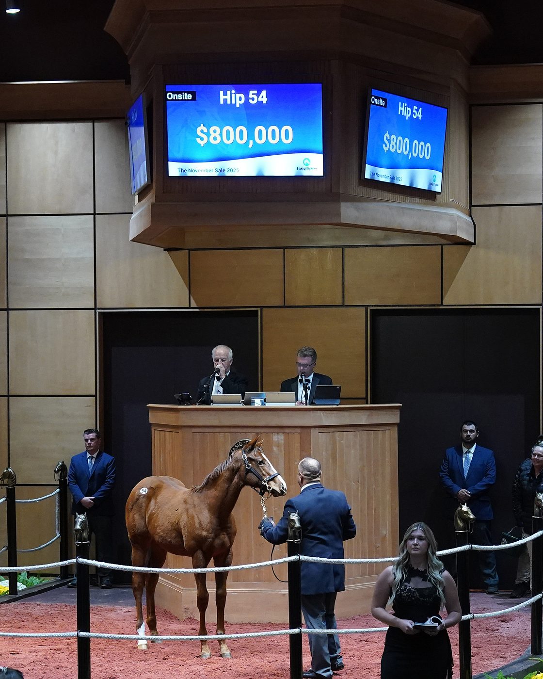 Hip 54 — Justify filly