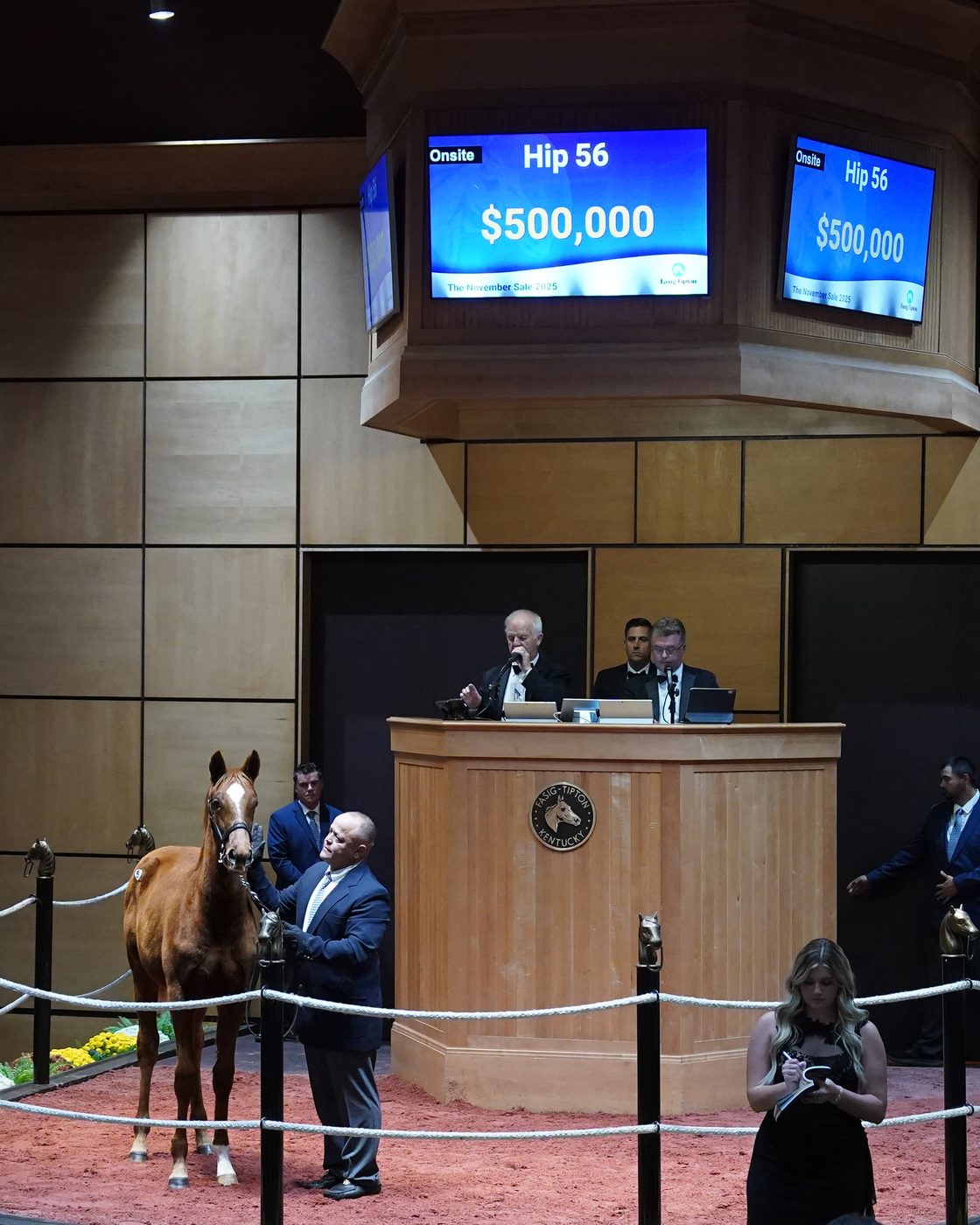 Hip 56 — Gun Runner filly