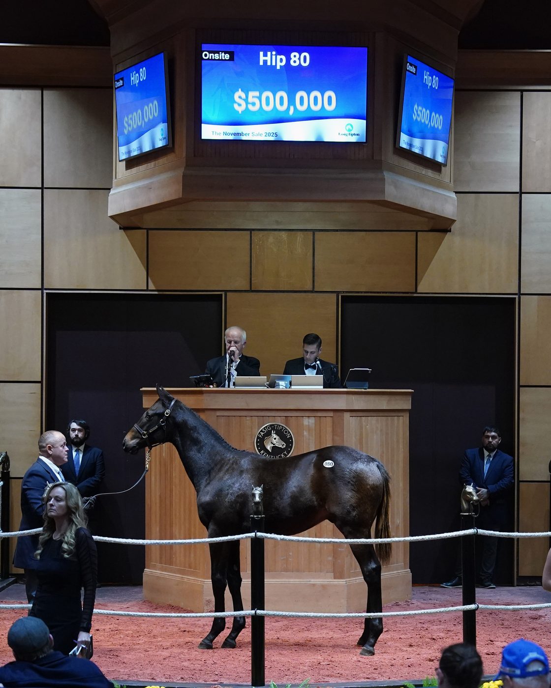 Hip 80 — Uncle Mo colt