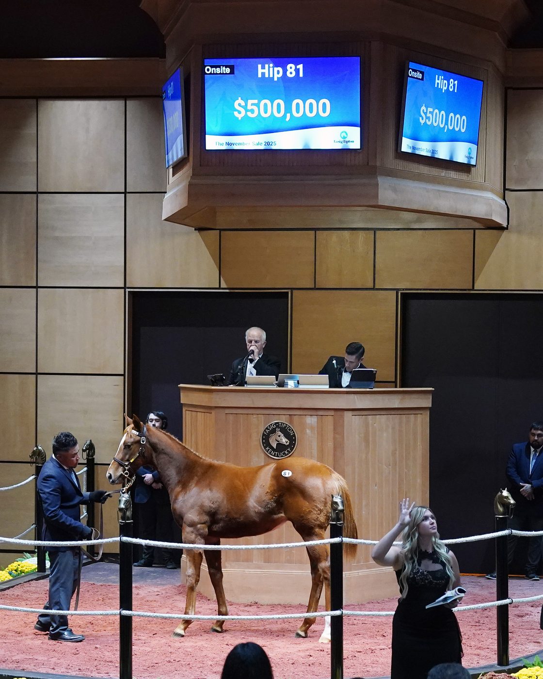Hip 81 — Cody’s Wish colt