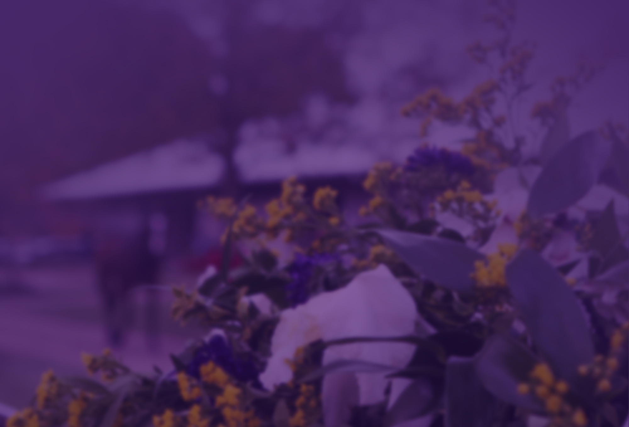 video background